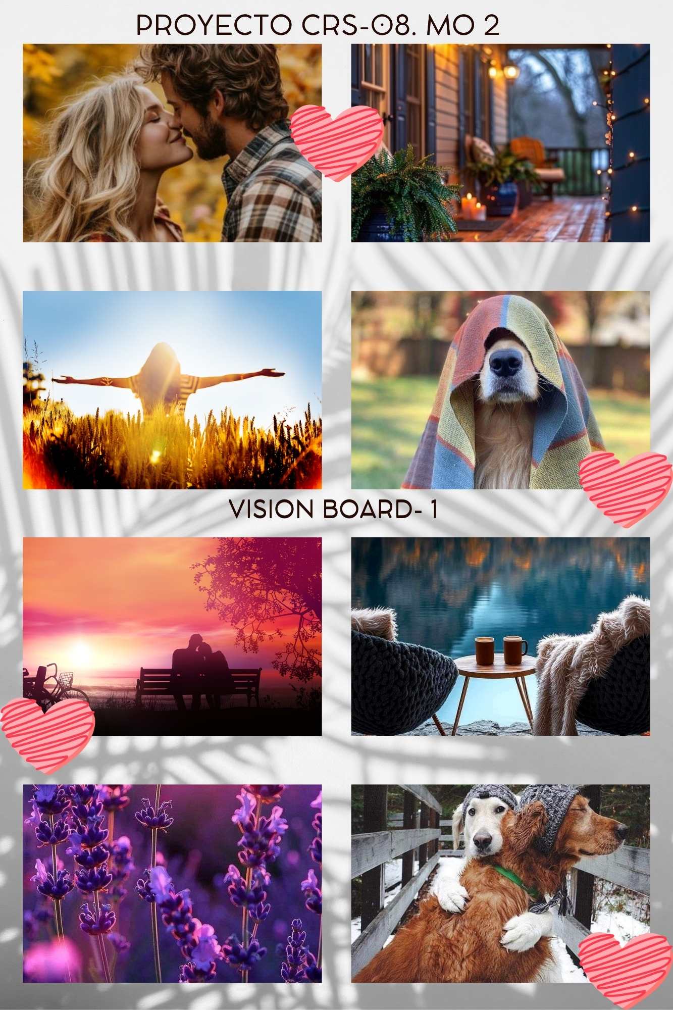 CRS-08. Visual Board 1